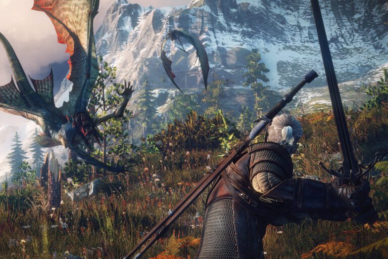 The Witcher